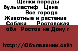 Щенки породы бульмастиф › Цена ­ 25 000 - Все города Животные и растения » Собаки   . Ростовская обл.,Ростов-на-Дону г.